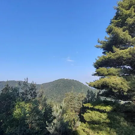Laerchenloft Holiday home *